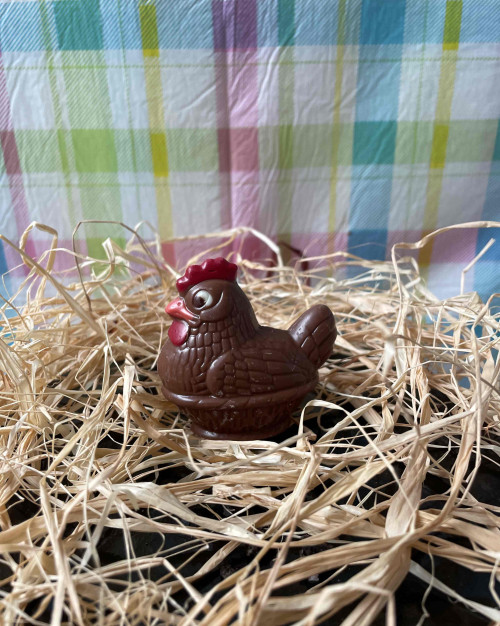 mini poule lait