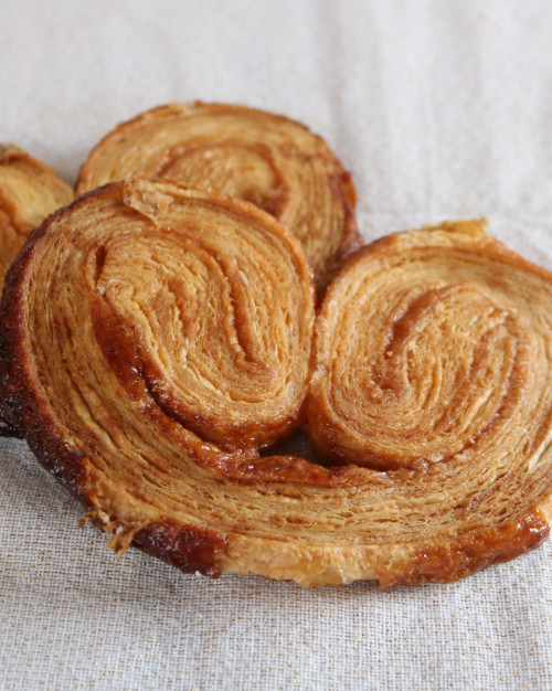Palmier