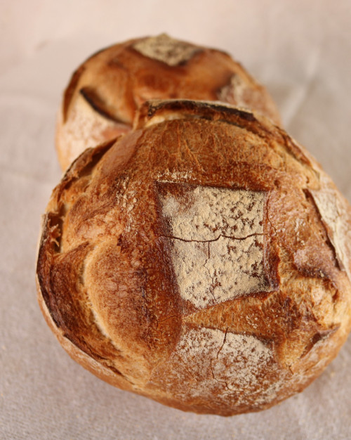 Petit Pain rond 