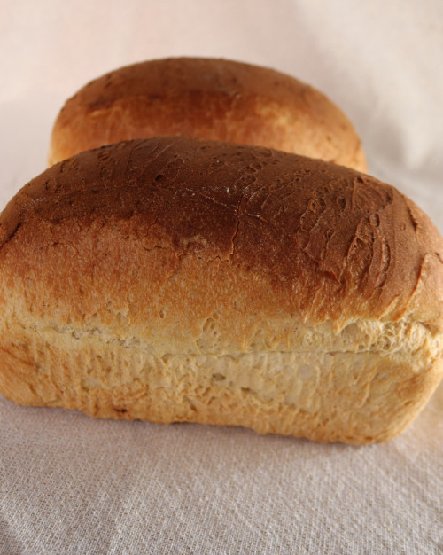 Pain de mie