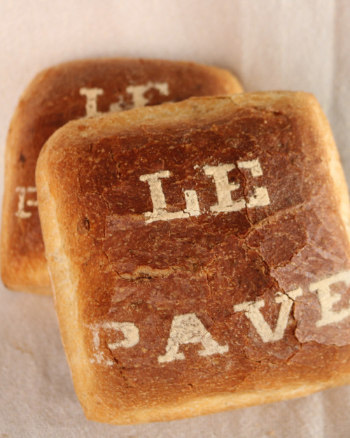 Le PAVE d'épeautre