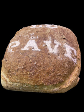 le PAVE d'épeautre